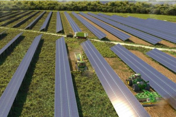 Agrivoltaics Adding Value To Crops With Low Agricultural Yield Pv